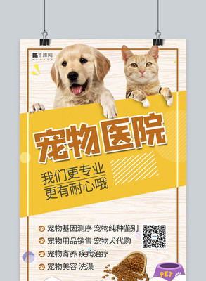 春分時(shí)節(jié)，與愛寵共迎生機(jī)——卡通剪紙風(fēng)春分節(jié)氣寵物用品海報(bào)