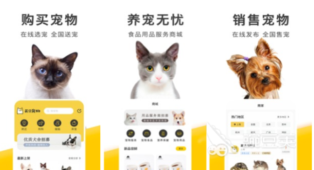 2022年市面上好用的買貓軟件及寵物用品銷售平臺(tái)推薦