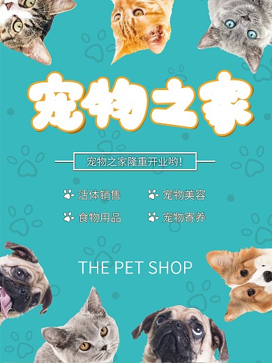 《寵物之家圖片 不僅僅是展示，更是溫暖的視覺(jué)共鳴與用品銷售策略》