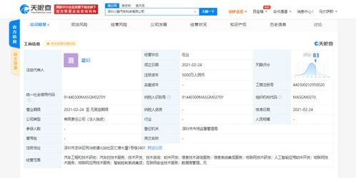 小鵬汽車(chē)深圳成立科技新公司，注冊(cè)資本5000萬(wàn)聚焦軟件與信息技術(shù)服務(wù)