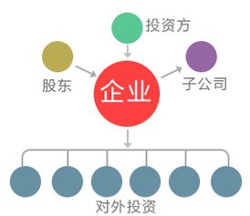 服務(wù)貓 軟件開(kāi)發(fā)與信息技術(shù)咨詢(xún)服務(wù)的專(zhuān)業(yè)伙伴