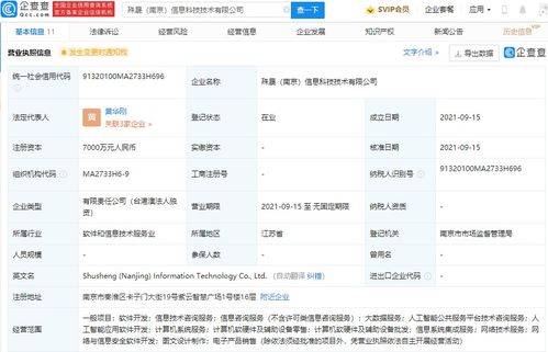 軟件開發信息技術咨詢服務 數字化轉型時代的關鍵支持